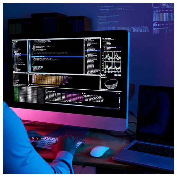 SDBI - Informatique Developpeur d'Applications (IDA)